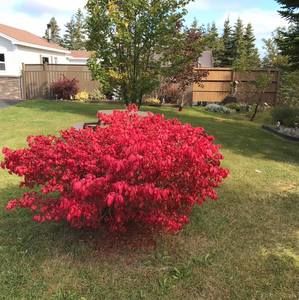 Meet your Posher, Laurie